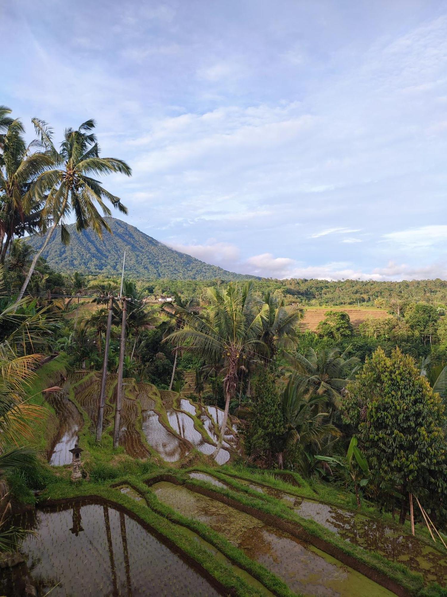 Gunza Bed And Breakfast Jatiluwih Esterno foto