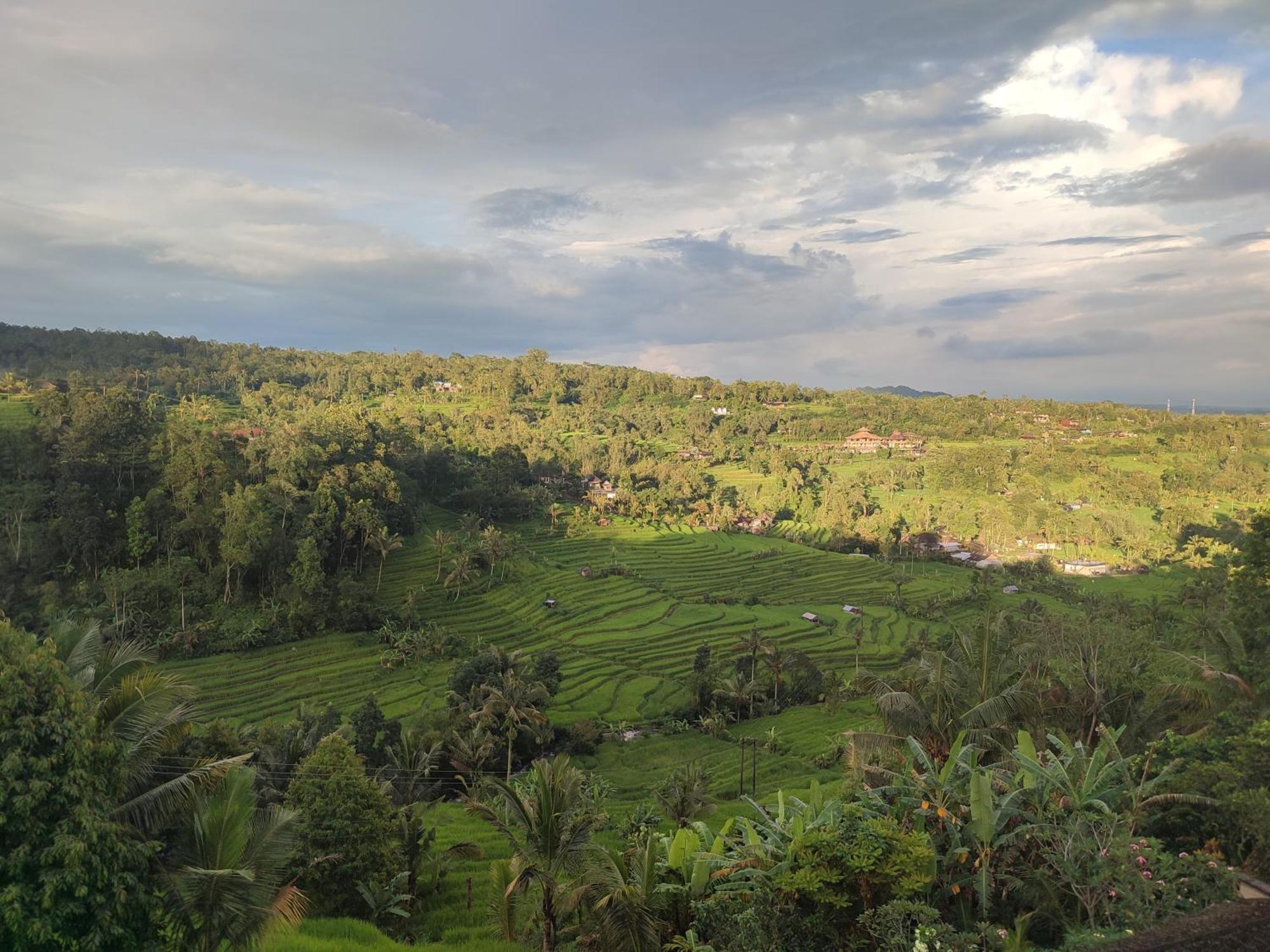Gunza Bed And Breakfast Jatiluwih Esterno foto
