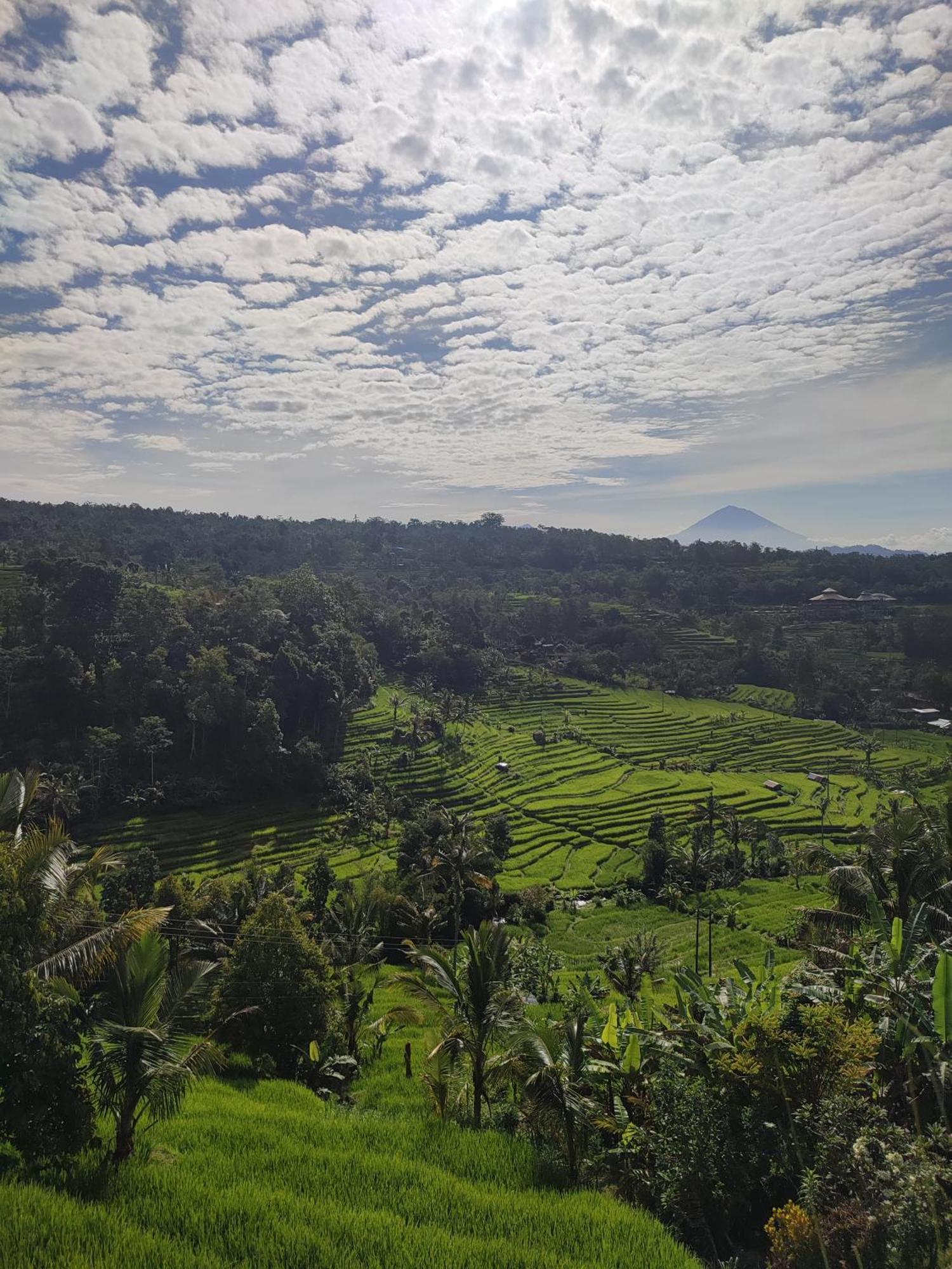 Gunza Bed And Breakfast Jatiluwih Esterno foto